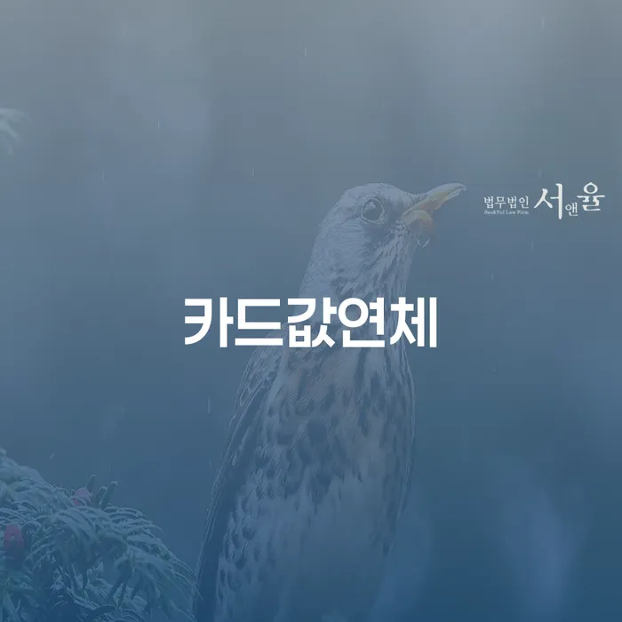 개인회생 면책 후 재신청 연체 채무 신속해결방법 전략은 이렇게