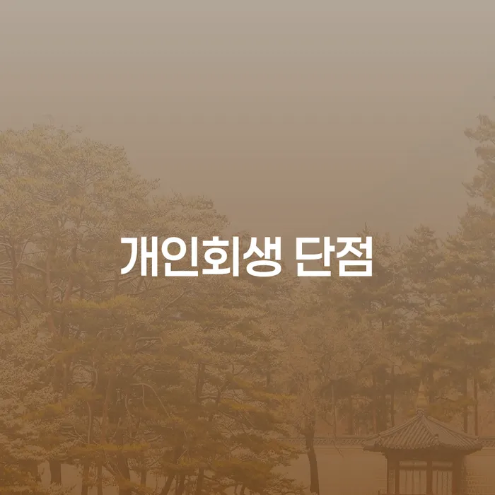 개인파산신청 개인회생,개인파산으로 믿고 진행 할 수 있는