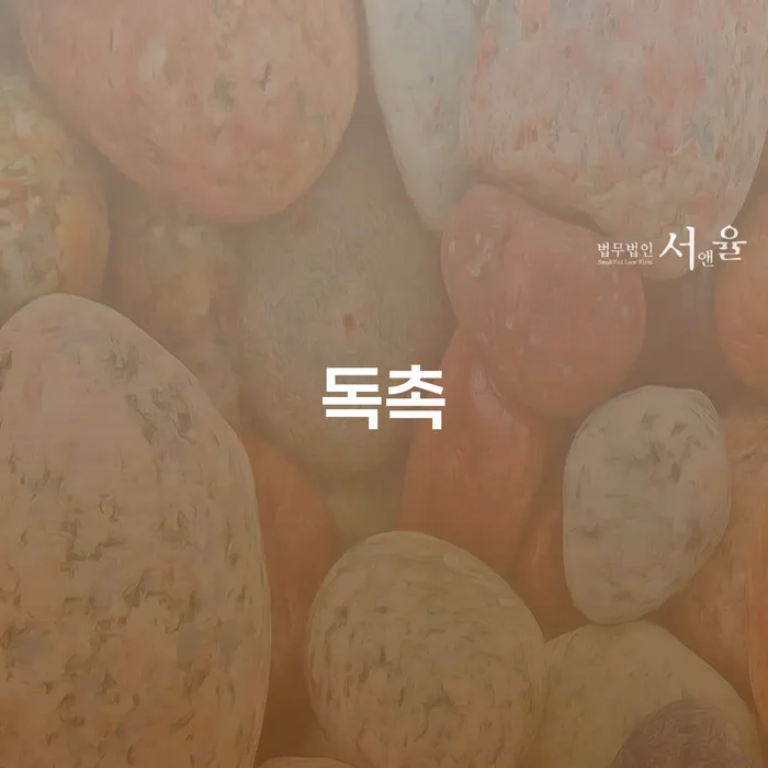 사채이자가 감당이 안될 때 개인파산 체크리스트