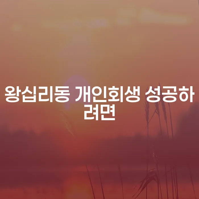 왕십리동 개인회생 성공하려면