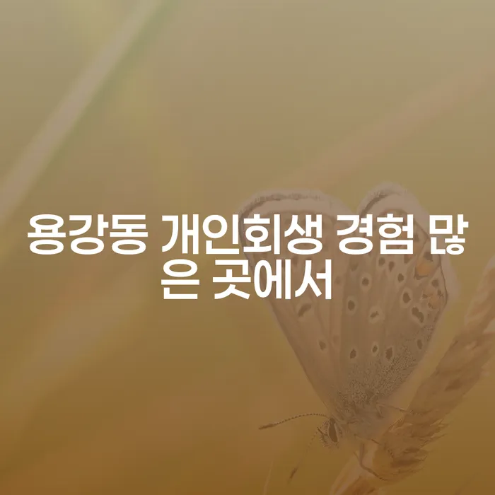 용강동 개인회생 경험 많은 곳에서