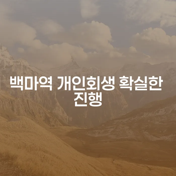 백마역 개인회생 확실한 진행