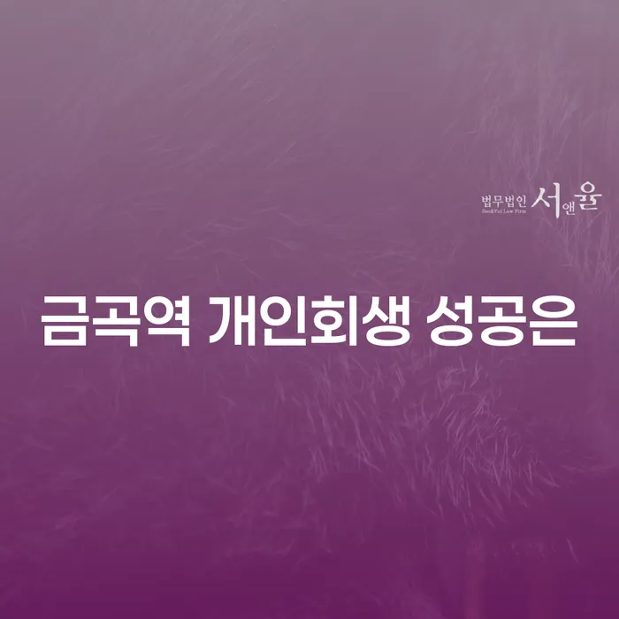 금곡역 개인회생 성공은