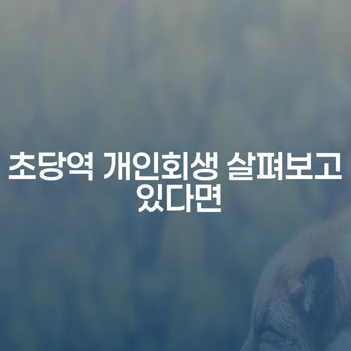 초당역 개인회생 살펴보고 있다면