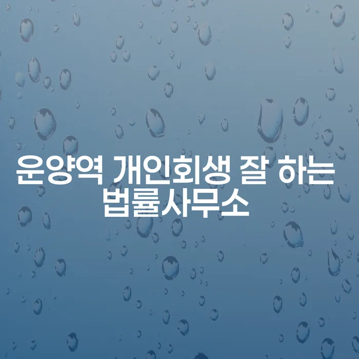 운양역 개인회생 잘 하는 법률사무소