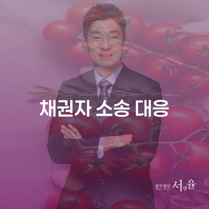 채권자 소송 대응, 어떻게 해야 할까요?