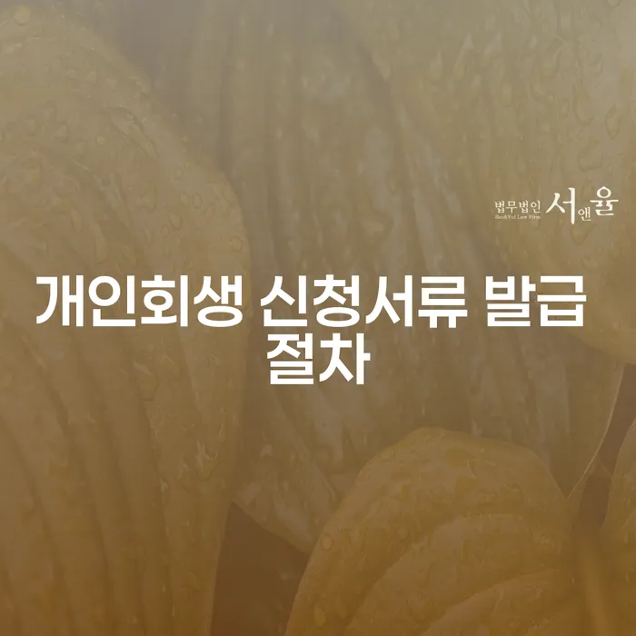개인회생 신청서류 발급 절차: 어떻게 준비해야 할까요?