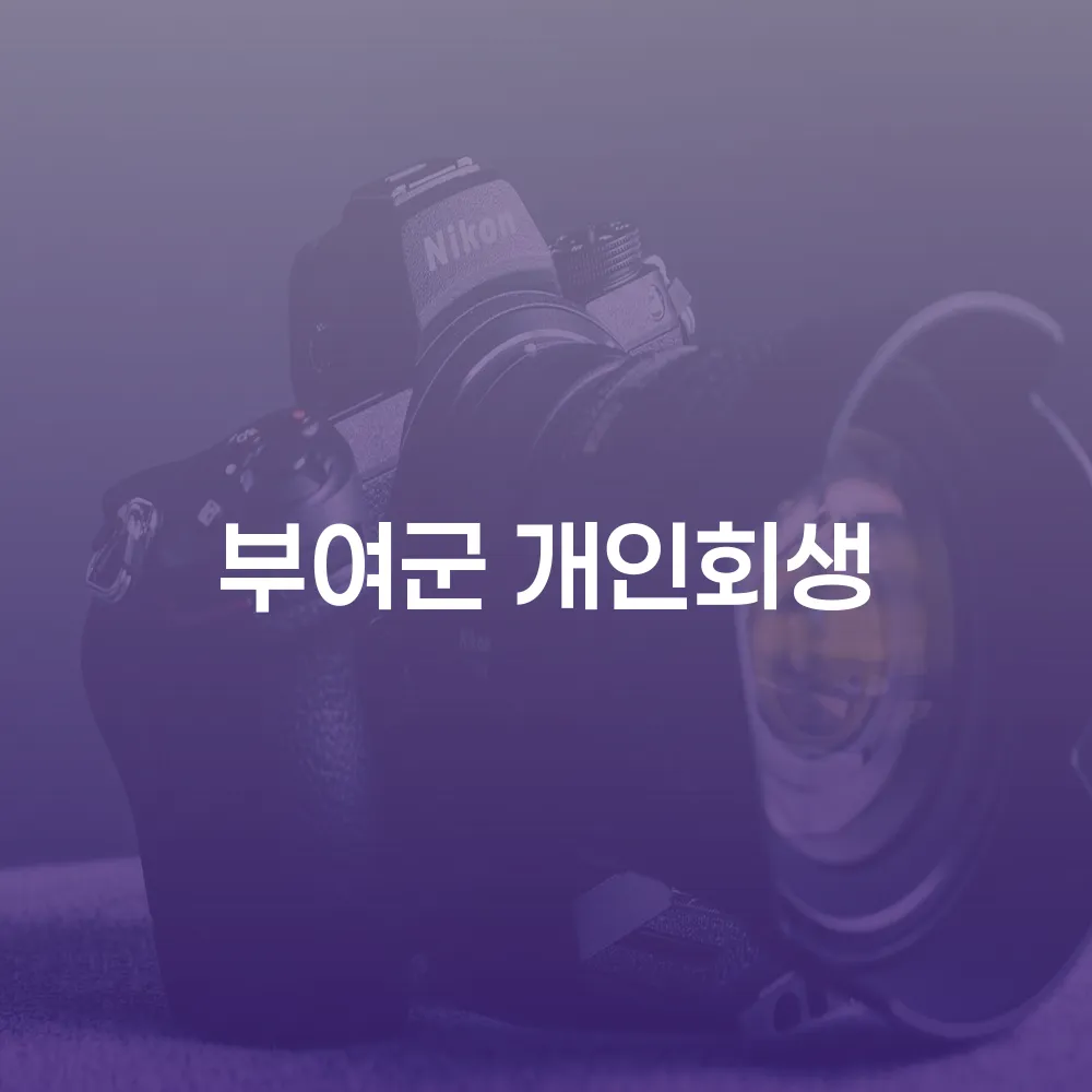 부여군 개인회생 신청과 절차 이해하기