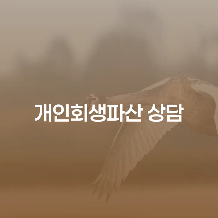 장성군 개인회생파산 상담의 중요성과 절차