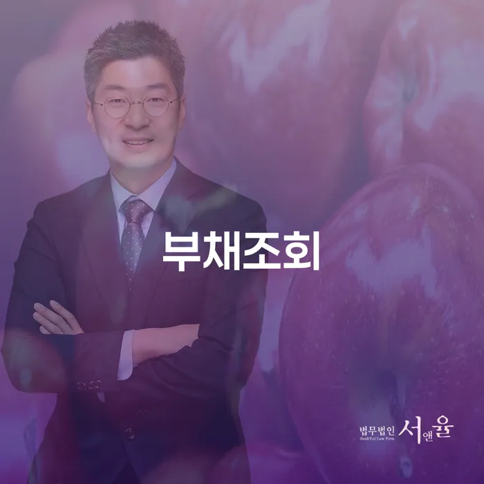부채조회와 개인회생: 내 상황에 맞는 해결책은 무엇일까요?