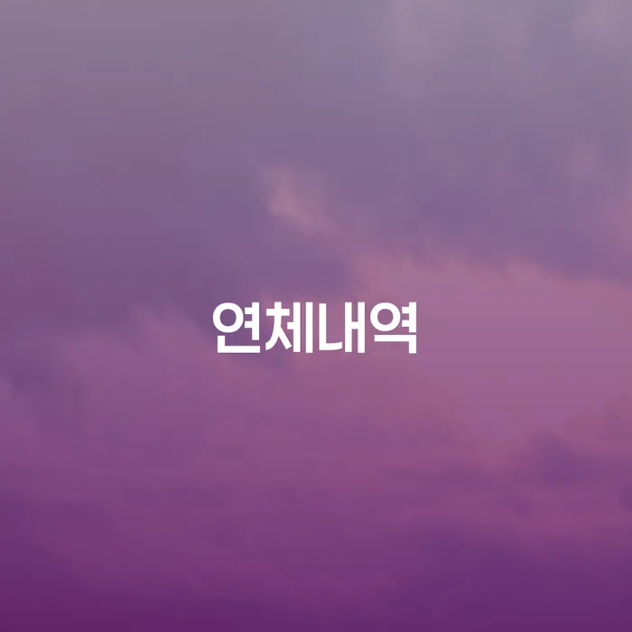 연체내역이 쌓여 고민이라면? 개인회생과 배우자 재산 문제 해결 방법 알아보기