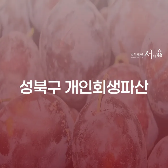 성북구 개인회생파산, 더 나은 재정 미래를 위한 선택인가?