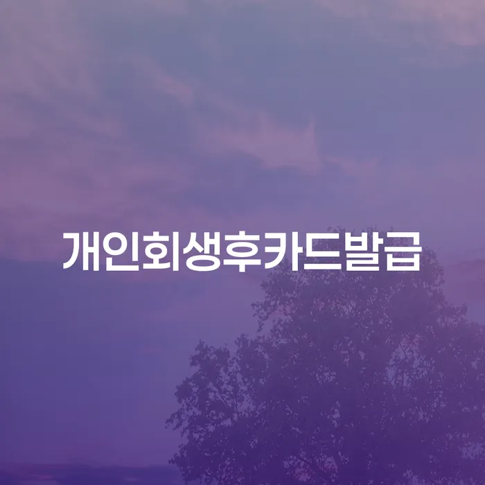 개인회생 후 카드 발급, 가능할까요?